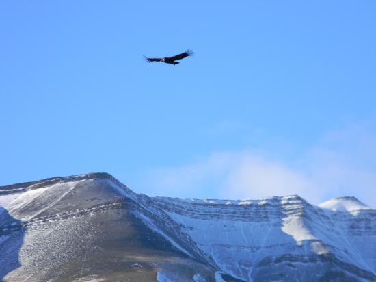 Torres del Paine