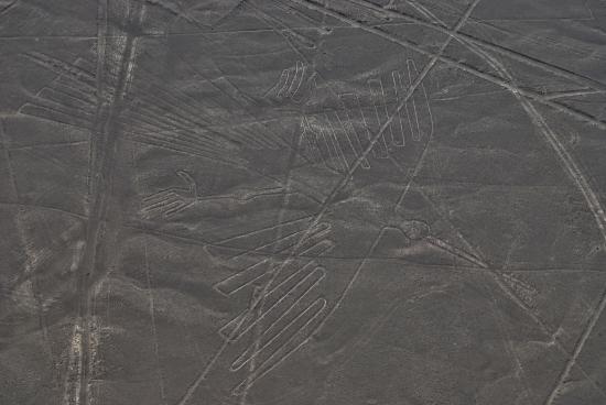 Les lignes de Nasca