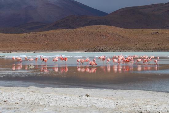 Salar d'Uyuni