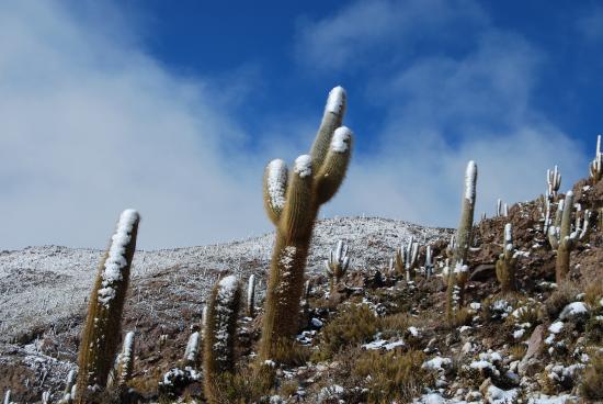 Salar d'Uyuni