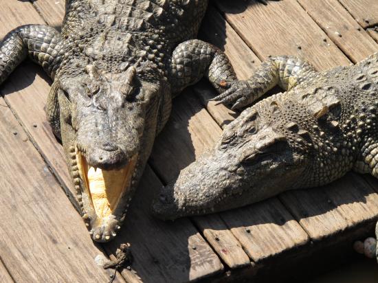 Sur la route du Lac de Tonle Sap