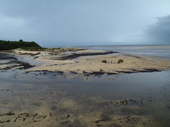 Abel Tasman