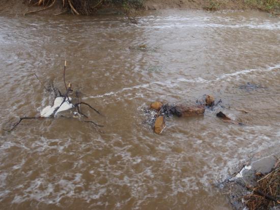 Rajasthan - Jaisalmer