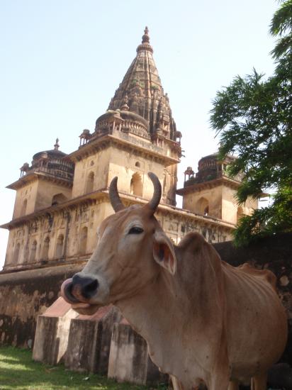 Orchha